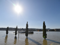 Trees are underwater on the bank of the Danube in Budapest, Hungary, as the peak water levels of the Danube are expected to hit today. (