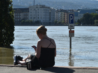 A flooded traffic sign stands on the bank of the Danube in Budapest, Hungary, as the peak water levels of the Danube are expected to hit tod...