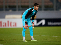 Francisco Celio Da Paz Silva Filho, goalkeeper of Hamrun Spartans, is in action during the Malta 360 Sports Premier League soccer match betw...