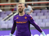 David De Gea of ACF Fiorentina warming up before the match between the Italian Serie A football match between ACF Fiorentina and SS Lazio ,o...