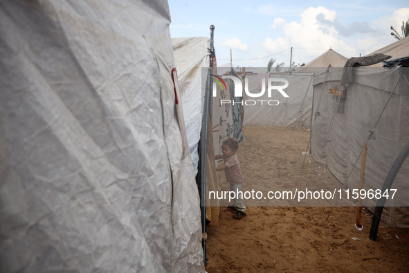 A Palestinian boy looks out from his tent in the Al-Mawasi area in Khan Yunis in the southern Gaza Strip on September 22, 2024, amid the ong...