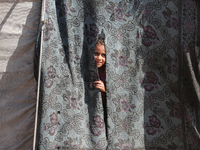 A Palestinian boy looks out from his tent in the Al-Mawasi area in Khan Yunis in the southern Gaza Strip on September 22, 2024, amid the ong...