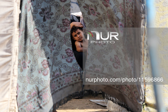 A Palestinian boy looks out from his tent in the Al-Mawasi area in Khan Yunis in the southern Gaza Strip on September 22, 2024, amid the ong...