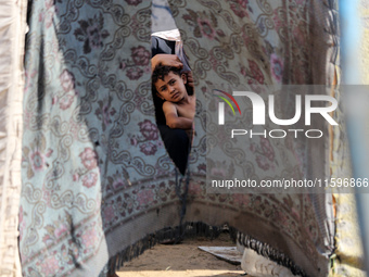 A Palestinian boy looks out from his tent in the Al-Mawasi area in Khan Yunis in the southern Gaza Strip on September 22, 2024, amid the ong...