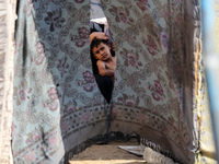 A Palestinian boy looks out from his tent in the Al-Mawasi area in Khan Yunis in the southern Gaza Strip on September 22, 2024, amid the ong...