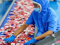 Workers inspect food packaging in Tengzhou, China, on September 21, 2024. (