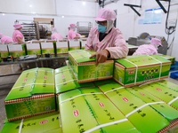 Workers pack food at a workshop in Tengzhou, China, on September 21, 2024. (