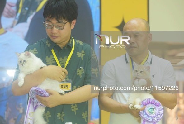 Purebred cats compete at the 2024 Hangzhou International Purebred Cat Tasting Competition in Hangzhou, China, on September 22, 2024. 