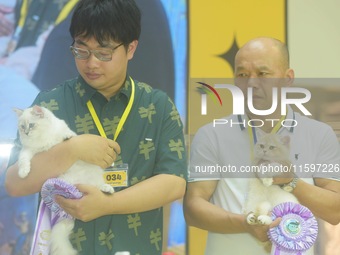 Purebred cats compete at the 2024 Hangzhou International Purebred Cat Tasting Competition in Hangzhou, China, on September 22, 2024. (