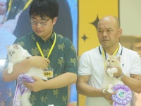 Purebred cats compete at the 2024 Hangzhou International Purebred Cat Tasting Competition in Hangzhou, China, on September 22, 2024. (