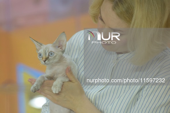 Purebred cats compete at the 2024 Hangzhou International Purebred Cat Tasting Competition in Hangzhou, China, on September 22, 2024. 