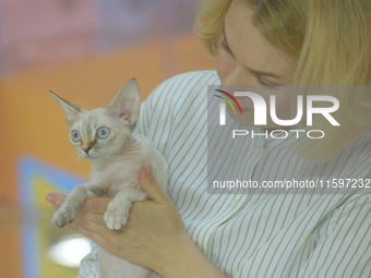 Purebred cats compete at the 2024 Hangzhou International Purebred Cat Tasting Competition in Hangzhou, China, on September 22, 2024. (