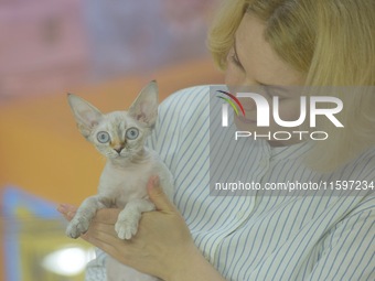 Purebred cats compete at the 2024 Hangzhou International Purebred Cat Tasting Competition in Hangzhou, China, on September 22, 2024. (