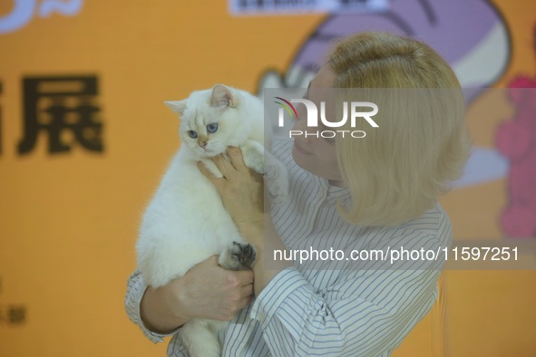 Purebred cats compete at the 2024 Hangzhou International Purebred Cat Tasting Competition in Hangzhou, China, on September 22, 2024. 