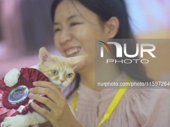 Purebred cats compete at the 2024 Hangzhou International Purebred Cat Tasting Competition in Hangzhou, China, on September 22, 2024. (