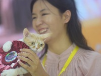 Purebred cats compete at the 2024 Hangzhou International Purebred Cat Tasting Competition in Hangzhou, China, on September 22, 2024. (