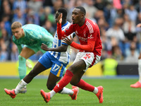 Callum Hudson-Odoi of Nottingham Forest reacts after a missed opportunity at goal during the Premier League match between Brighton and Hove...