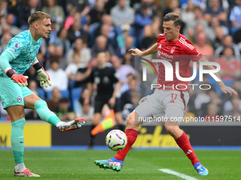 Chris Wood of Nottingham Forest puts pressure on Bart Verbruggen, Brighton goalkeeper, during the Premier League match between Brighton and...