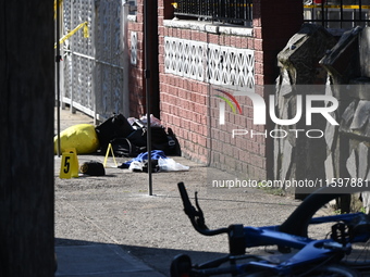 NYPD crime scene investigators search and mark evidence after a 42-year-old man is killed by gunshots to the shoulder and arm in the East Ne...