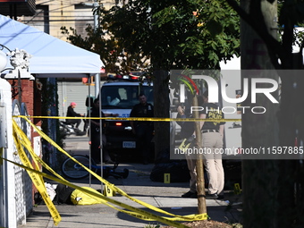 NYPD crime scene investigators search and mark evidence after a 42-year-old man is killed by gunshots to the shoulder and arm in the East Ne...