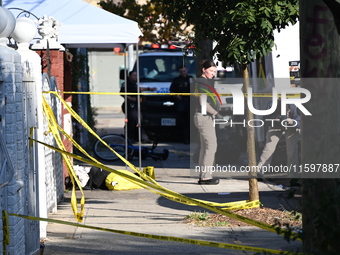 NYPD crime scene investigators search and mark evidence after a 42-year-old man is killed by gunshots to the shoulder and arm in the East Ne...