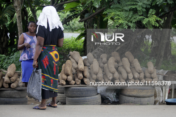 A woman negotiates with a yam seller at Akinola Market, Ipetu, along Ife-Ibadan Expressway in Osun State, Nigeria, on September 20, 2024. Ma...