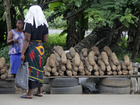 A woman negotiates with a yam seller at Akinola Market, Ipetu, along Ife-Ibadan Expressway in Osun State, Nigeria, on September 20, 2024. Ma...