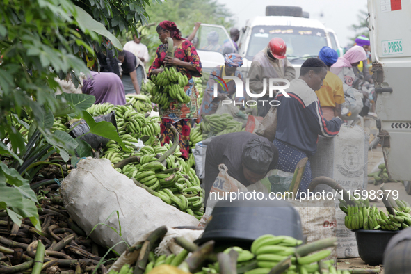 Business activities boom at the banana section of Akinola Market in Ipetu, along Ife-Ibadan Expressway in Osun State, Nigeria, on September...