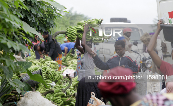 Business activities boom at the banana section of Akinola Market in Ipetu, along Ife-Ibadan Expressway in Osun State, Nigeria, on September...