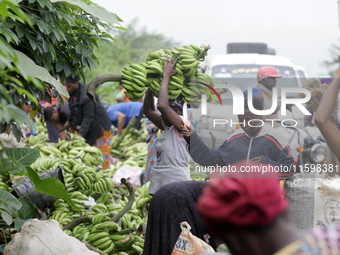 Business activities boom at the banana section of Akinola Market in Ipetu, along Ife-Ibadan Expressway in Osun State, Nigeria, on September...