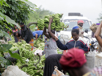 Business activities boom at the banana section of Akinola Market in Ipetu, along Ife-Ibadan Expressway in Osun State, Nigeria, on September...