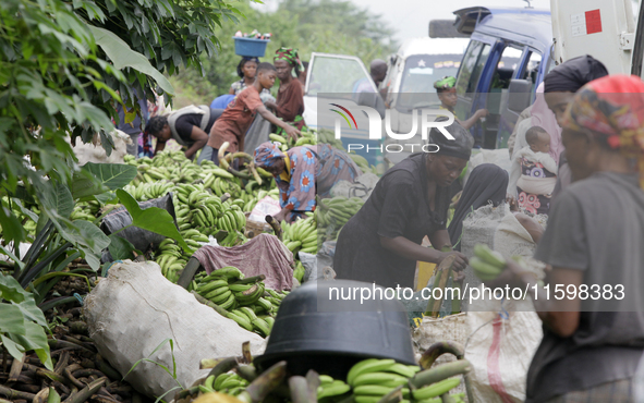 Business activities boom at the banana section of Akinola Market in Ipetu, along Ife-Ibadan Expressway in Osun State, Nigeria, on September...