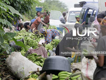 Business activities boom at the banana section of Akinola Market in Ipetu, along Ife-Ibadan Expressway in Osun State, Nigeria, on September...