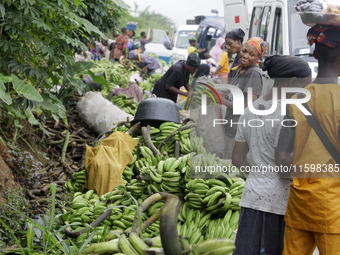 Business activities boom at the banana section of Akinola Market in Ipetu, along Ife-Ibadan Expressway in Osun State, Nigeria, on September...