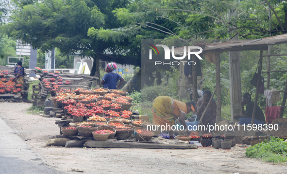 A woman arranges peppers along Ife-Ibadan Expressway in Osun State, Nigeria, on September 20, 2024. Many city dwellers and travelers opt to...