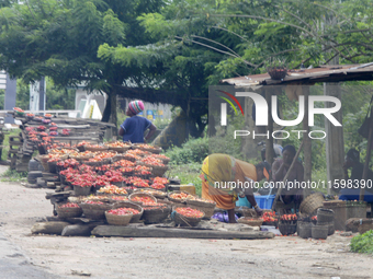 A woman arranges peppers along Ife-Ibadan Expressway in Osun State, Nigeria, on September 20, 2024. Many city dwellers and travelers opt to...