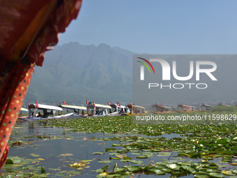 Supporters of the National Conference, a regional political party, hold a boat rally ahead of the second phase of assembly elections in Dal...