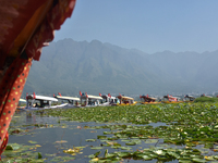 Supporters of the National Conference, a regional political party, hold a boat rally ahead of the second phase of assembly elections in Dal...