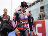 Jorge Martin of Spain and Prima Pramac Racing looks on prior to the race of the MotoGP of Emilia Romagna at Misano World Circuit in Misano A...