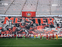 A general view inside the stadium as the fans display a tifo in the stand prior to the Bundesliga match between Bayer 04 Leverkusen and VfL...