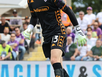 David De Gea of ACF Fiorentina during the Italian Serie A football match between ACF Fiorentina and SS Lazio in Florence, Italy, on Septembe...