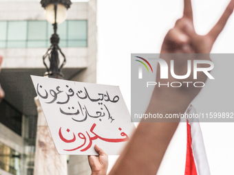 A demonstrator makes the victory sign as another raises a placard that reads in Arabic, ''pharaoh powers, turtle achievements,'' during a de...