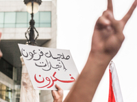 A demonstrator makes the victory sign as another raises a placard that reads in Arabic, ''pharaoh powers, turtle achievements,'' during a de...