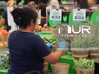 A worker fills baskets with Brussels sprouts at a farmers market in Markham, Ontario, Canada, on September 22, 2024. (