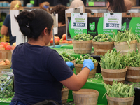 A worker fills baskets with Brussels sprouts at a farmers market in Markham, Ontario, Canada, on September 22, 2024. (