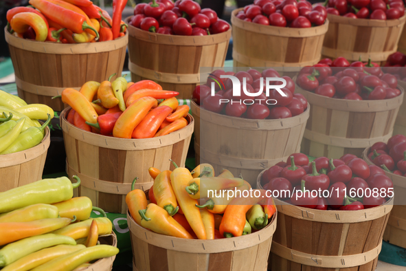 Various types of hot peppers are at a farmers market in Markham, Ontario, Canada, on September 22, 2024. 