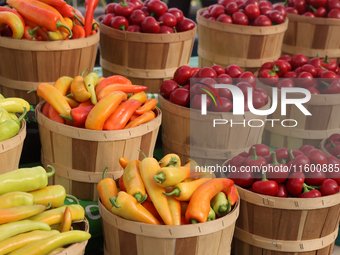 Various types of hot peppers are at a farmers market in Markham, Ontario, Canada, on September 22, 2024. (