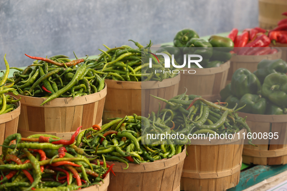 Various types of peppers are at a farmers market in Markham, Ontario, Canada, on September 22, 2024. 