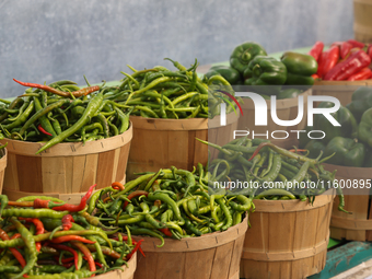 Various types of peppers are at a farmers market in Markham, Ontario, Canada, on September 22, 2024. (