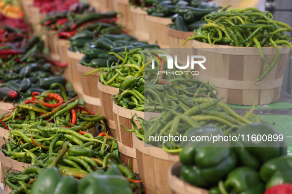 Various types of peppers are at a farmers market in Markham, Ontario, Canada, on September 22, 2024. 